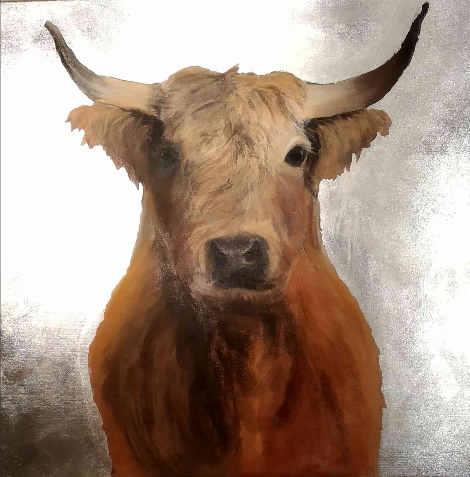 Brown bull of the highland cattle breed on a silver background.