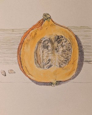 Pumpkin cross-section