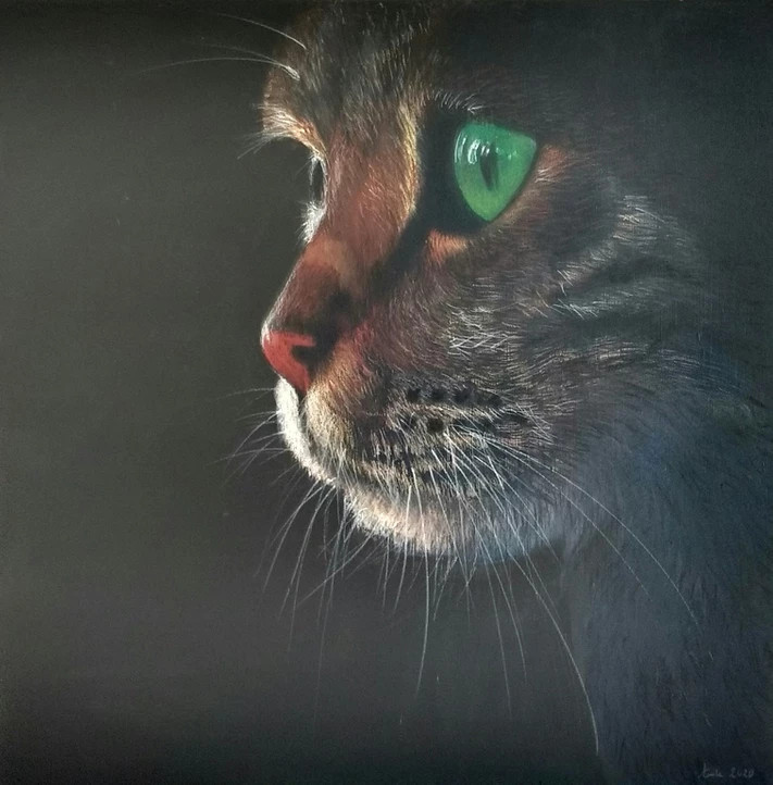 Face of a dark red cat with green eyes.